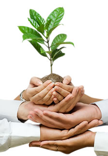 अझै सम्म सहकारी संस्थाहरु करको दायरा बाहिर, बागलुङका दुई सय ५१ वटा सहाकारी करको दायरा मा आउन बाँकि