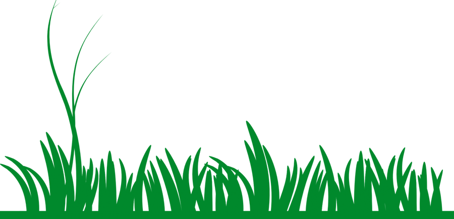 अब घाँसको पनि बिमा गरिने, घाँसको बिमालेख सञ्चालनमा ल्याउने बिमा समितिको तयारी