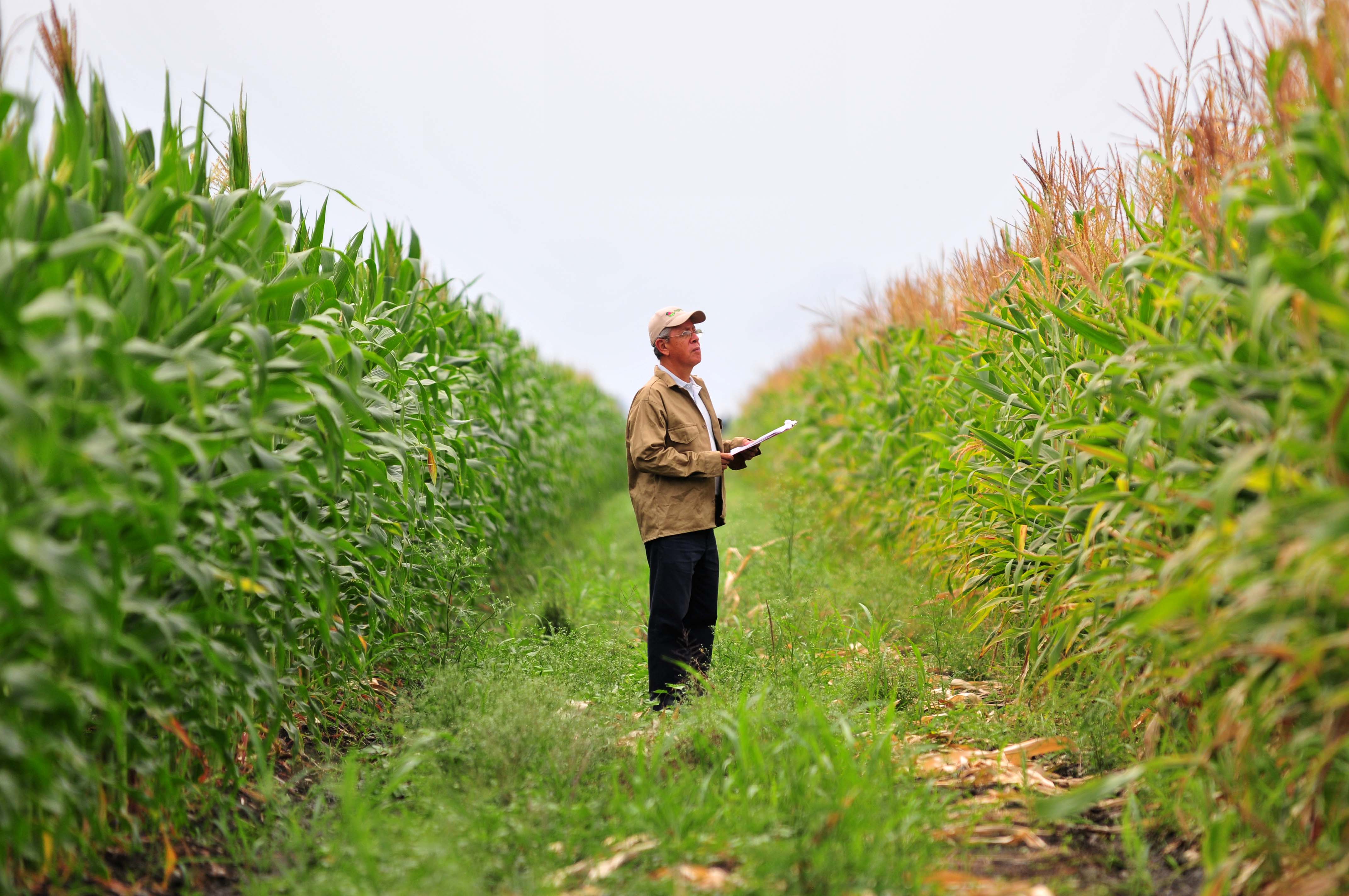 कृषकलाई दुर्घटना बिमा अनिवार्य