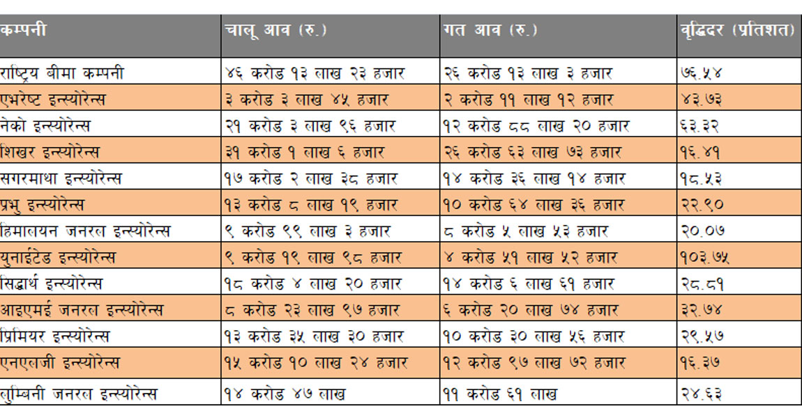 बीमा कम्पनीमा सेयर लगानी : १३ निर्जीवन बीमा कम्पनीमा कसको मुनाफा कति !