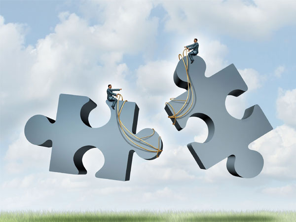 फोर्स मर्जरको लागि तात्यो बीमा समिति, चुक्ता पूँजी नपुर्याउने र क्रस होल्डिंग हुनेहरु पहिलो निशानामा