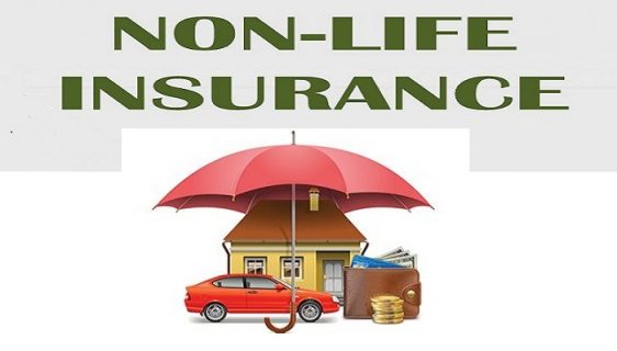 तीनवटा निर्जीबन कम्पनीले मात्रै पुर्याए पूँजी, नपुर्याउनेलाई  के गर्ला समितिले? होला त इन्स्योरेन्समा  पहिलो मर्जर ?