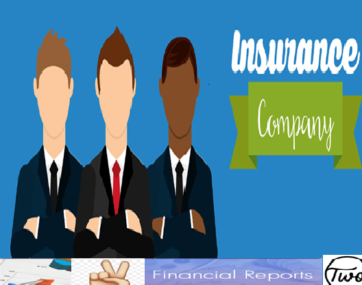 अब देखि बीमा कम्पनीले दुई वटा वित्तिय विवरण बुझाउनु पर्ने