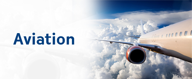 जहाजको संख्या बढेपछि निर्जीवन बीमकको हवाई बीमाको आम्दानी बढ्यो