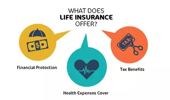 नयाँ इन्स्योरेन्स कम्पनीका नयाँ बीमा योजनाहरु के के छन्