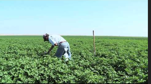 कृषि जोखिमको लागि बीमा र कृषि अनुदान भईरहदा पनि किसान किन अनविज्ञ ?