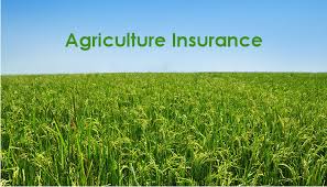 इन्स्योरेन्स शिक्षा: कृषि बीमा गर्न चाहिने आवश्यक कागजातहरु