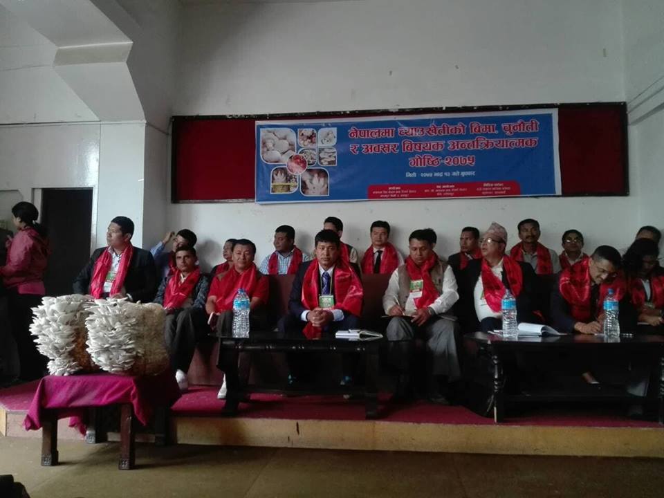 च्याउ बीमा बारे अनभिज्ञ छन् कृषकहरु