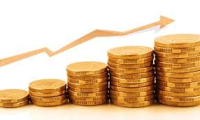 नेपाल हाईड्रो एण्ड ईलेक्ट्रिकले १० प्रतिशत लाभांश दिने