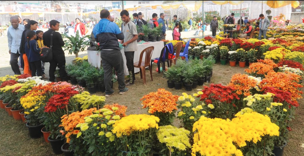 ६२ लाख रुपैंयाको कारोबार गर्दै सकियो गोदावरी पुष्प मेला