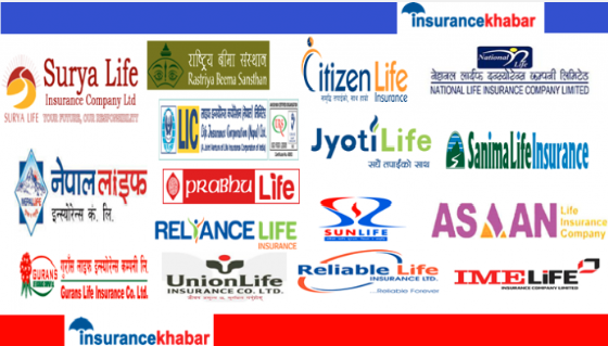 बीमालेख धितोकर्जा औसत ५० प्रतिशतले बढ्यो