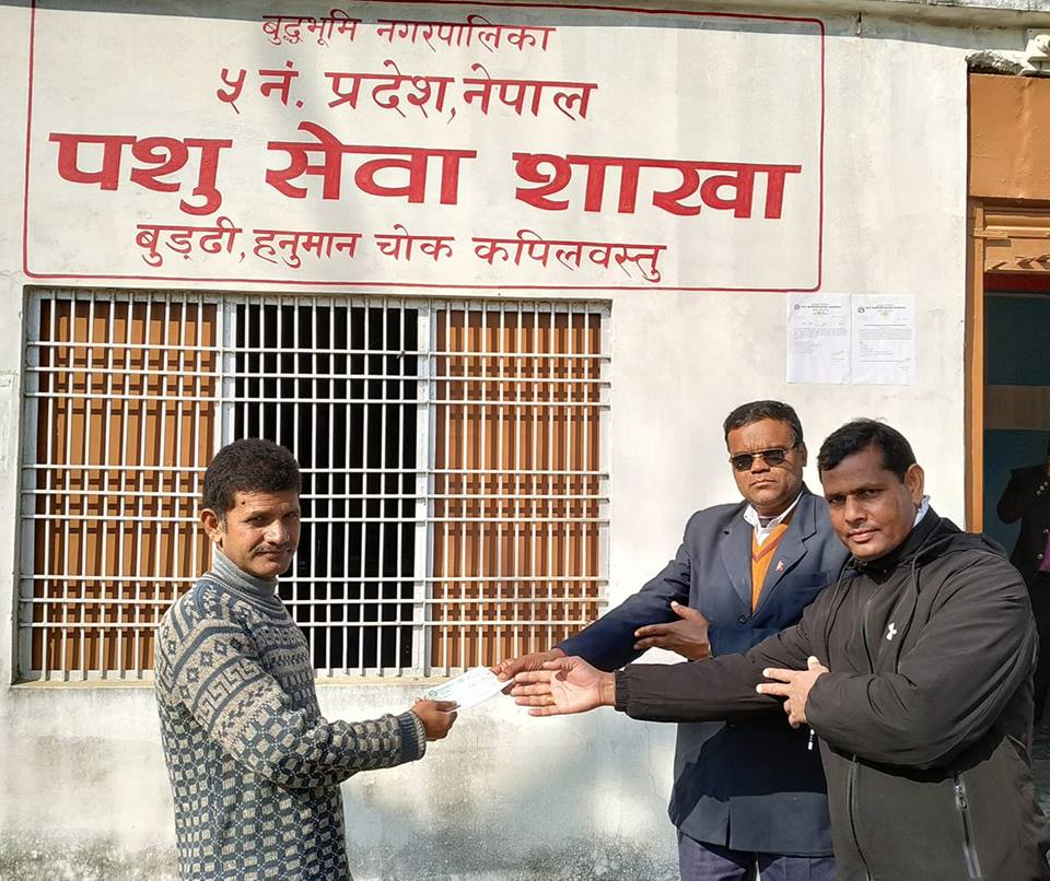 प्रिमियर इन्स्योरेन्सले कृषकको घरमै गएर गर्यो पशुदाबी भुक्तानी