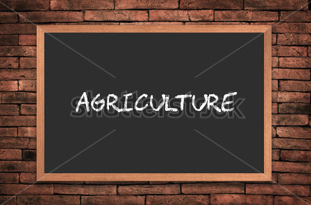 पहिलो त्रैमासमा नै निर्जीवन बीमा कम्पनीले साढे ४ अर्ब बराबरको कृषि बिमा गरे