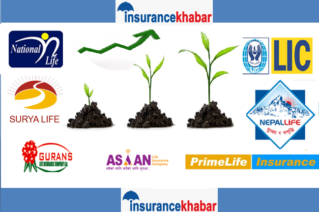 नयाँ जीवन बीमा कम्पनी आए पनि पुरानाको “ग्रोथ” कायमै : तथ्य सहित