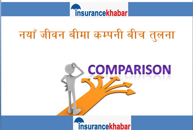 पुराना जीवन बीमा कम्पनीलाई टक्कर दिदै नयाँ, नयाँ कसको अवस्था के छ ?