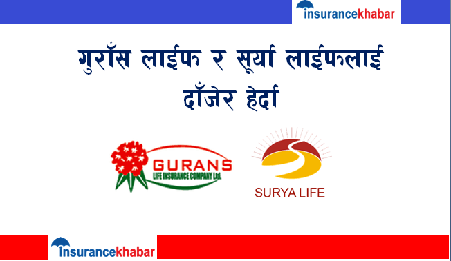 गुराँस लाईफ र सूर्या लाईफलाई दाँजेर हेर्दा