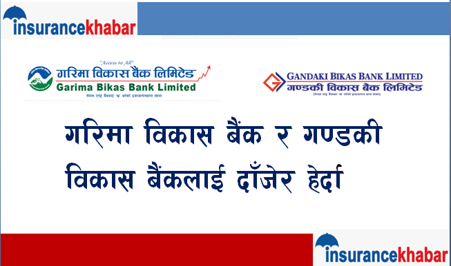 गरिमा विकास बैंक र गण्डकी विकास बैंकलाई दाँजेर हेर्दा