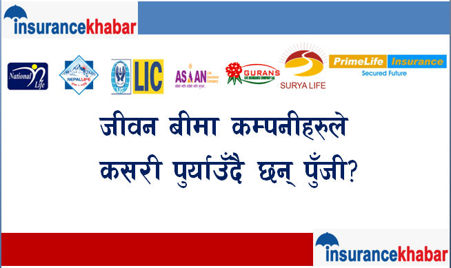 जीवन बीमा कम्पनीहरुले कसरी पुर्याउँदै  छन् पूँजी ?