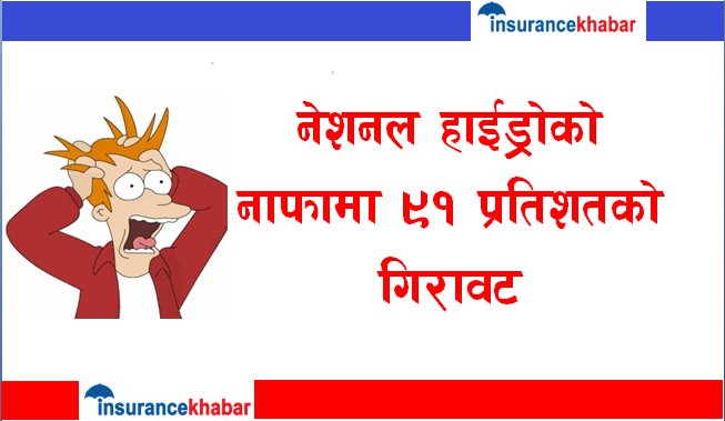 नेशनल हाईड्रोको नाफामा ९१ प्रतिशतको गिरावट