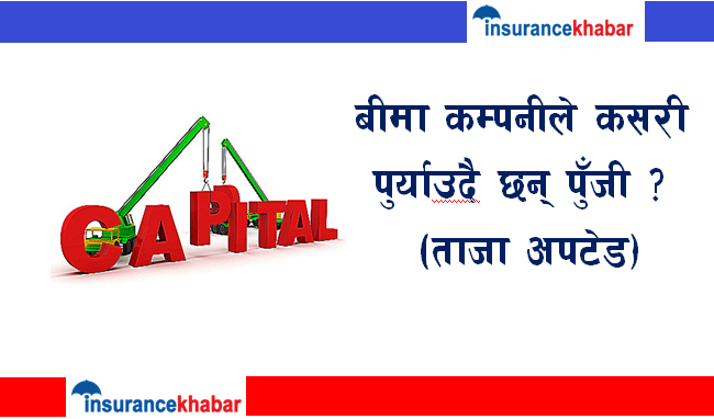 बीमा कम्पनीले कसरी पुर्याउदै छन् पूँजी  ? (ताजा अपटेड)