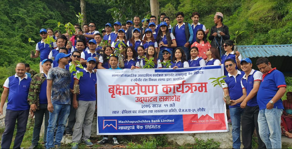 माछापुच्छे बैंकद्धारा पोखरा र भक्तपुरमा वृक्षारोपण कार्यक्रम सम्पन्न