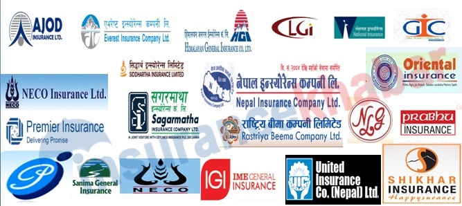 उत्साहप्रद रह्यो निर्जिवन बीमा कम्पनीहरुका लागि २०७६ साल