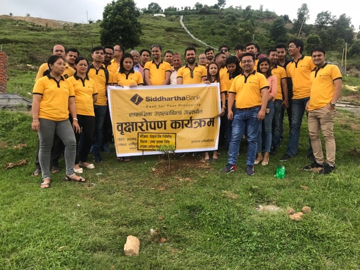 पोखराको लब्लि हिलमा सिद्धार्थ बैंकद्धारा वृक्षारोपण