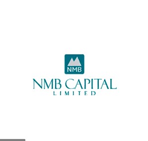 एनएमबि हाइबिड्र फन्ड एल–१को एनएभी घट्यो