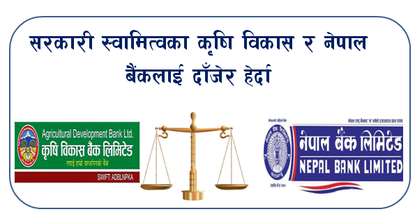 सरकारी स्वामित्वका कृषि विकास र नेपाल बैंकलाई दाँजेर हेर्दा
