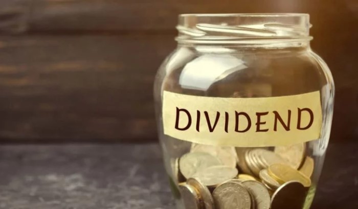 यी ५० कम्पनीको शेयर किन्दा अझै पाइन्छ लाभांश ? सूची सहित