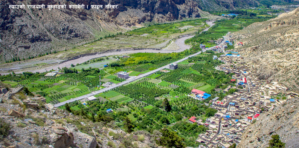 २० लाख स्याउको बोटबाट बार्षिक ६० करोड आम्दानी, तीन जना किसान मात्रै बीमाको पहुँचमा