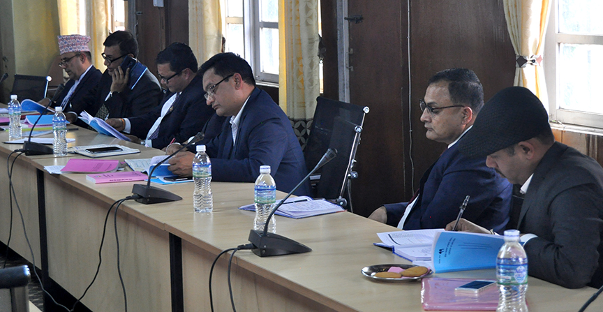 सांसदको गुनासो–बीमा कम्पनीले मरेका माछा लिएर आउनु भने, सम्पत्ति बीमामा समस्या छ, धेरै सुधार गरिसक्यौंः अध्यक्ष चापागाई