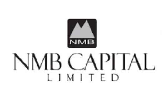 एनएमबि हाइब्रिड फन्ड एल–१ न्याभ ११ पैसाले घट्यो