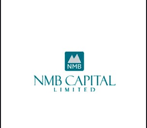 एनएमबि हाइब्रिड फन्ड एल–१ को न्याभ ११ पैसाले घट्यो