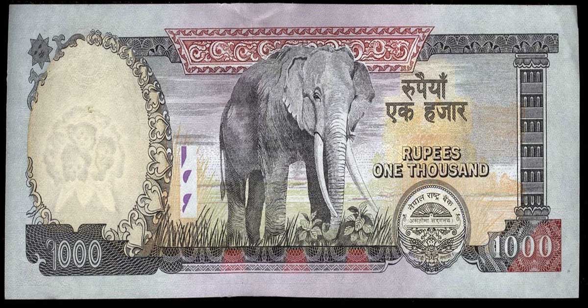 हजारको नोटमा अब दुई वटा हात्ती, आजदेखि नयाँ नोट बजारमा