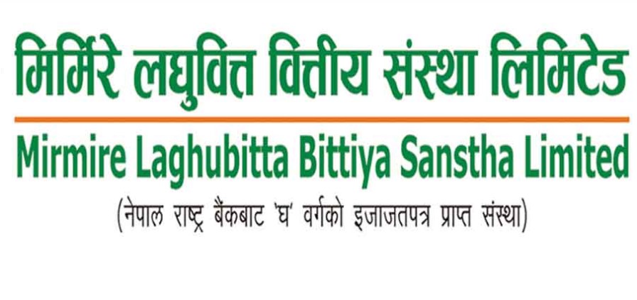 मिर्मिरे लघुवित्तको नायब कार्यकारी प्रमुखमा न्यौपाने