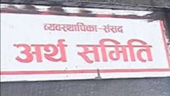 अर्थ समितिले गठन गर्यो  ४ उपसमिति