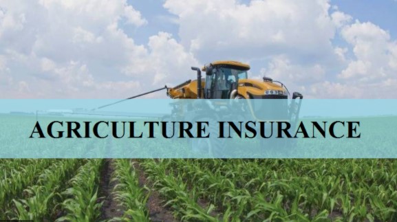 कृषि बीमामा किसानको आकर्षण बढ्दै, एक वर्षमा २६ अर्बको बीमा