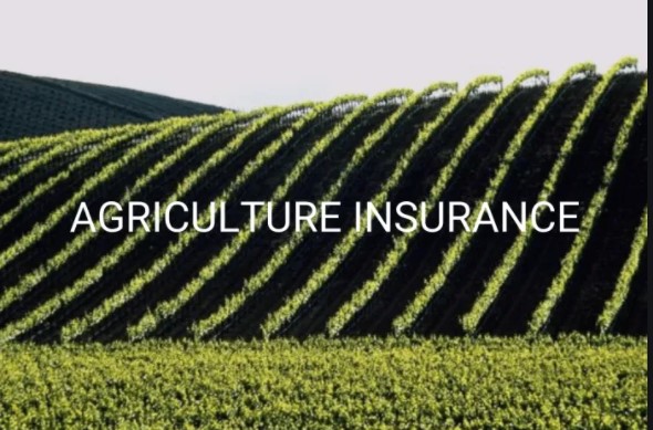 गत आर्थिक वर्षमा कृषि बीमाको दावी भुक्तानी घट्यो