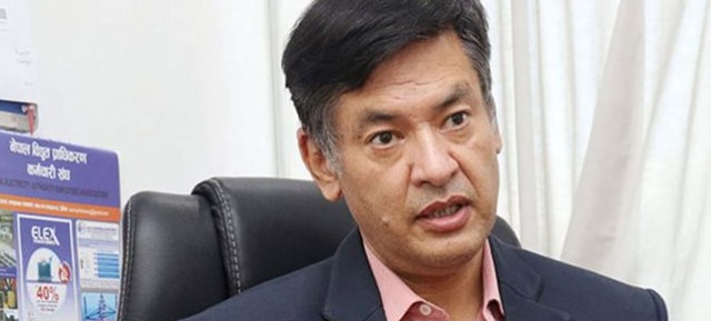 विद्युत्  प्राधिकरणको निमित्त कार्यकारी निर्देशकको जिम्मेवारी हितेन्द्रदेव शाक्यलाई