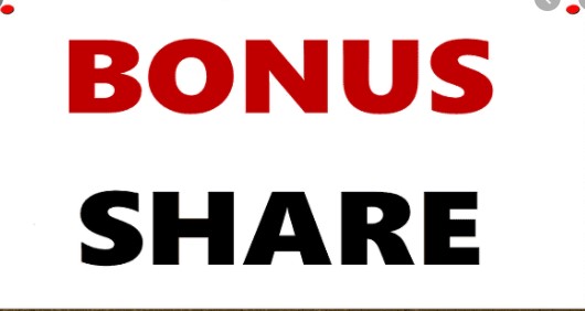 शाइन रेसुङ्गा डेभलपमेण्टले १३ प्रतिशत बोनस शेयर दिने