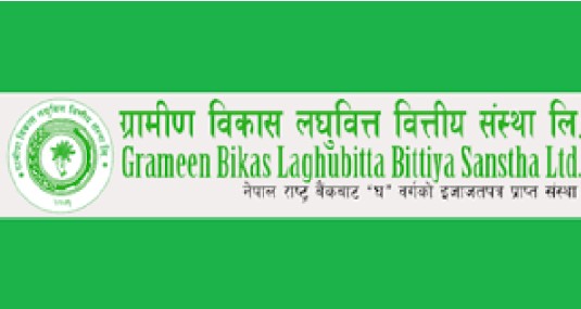 ग्रामीण विकास लघुवित्तको संस्थापक शेयर बिक्रिमा
