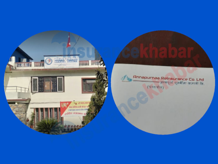 प्रस्तावित अन्नपुर्ण पुनर्बीमा कम्पनीले तयार पार्यो प्रवन्धपत्र र नियमावली, यस्तो छ शेयर संरचना