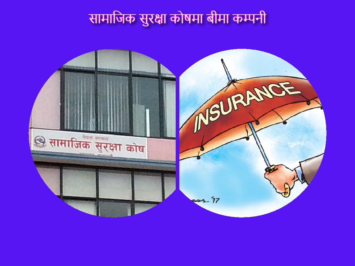 सामाजिक सुरक्षा कोषमा ३३ बीमा कम्पनी सूचिकृत, के के पाउँछन् कर्मचारीले सुविधा ?