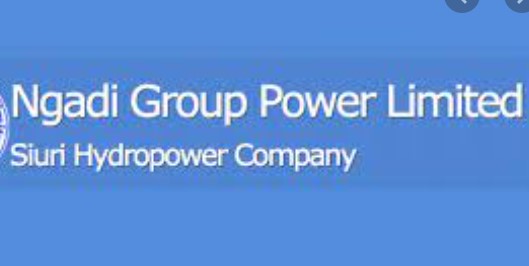 Ngadi Group Power declares dividend