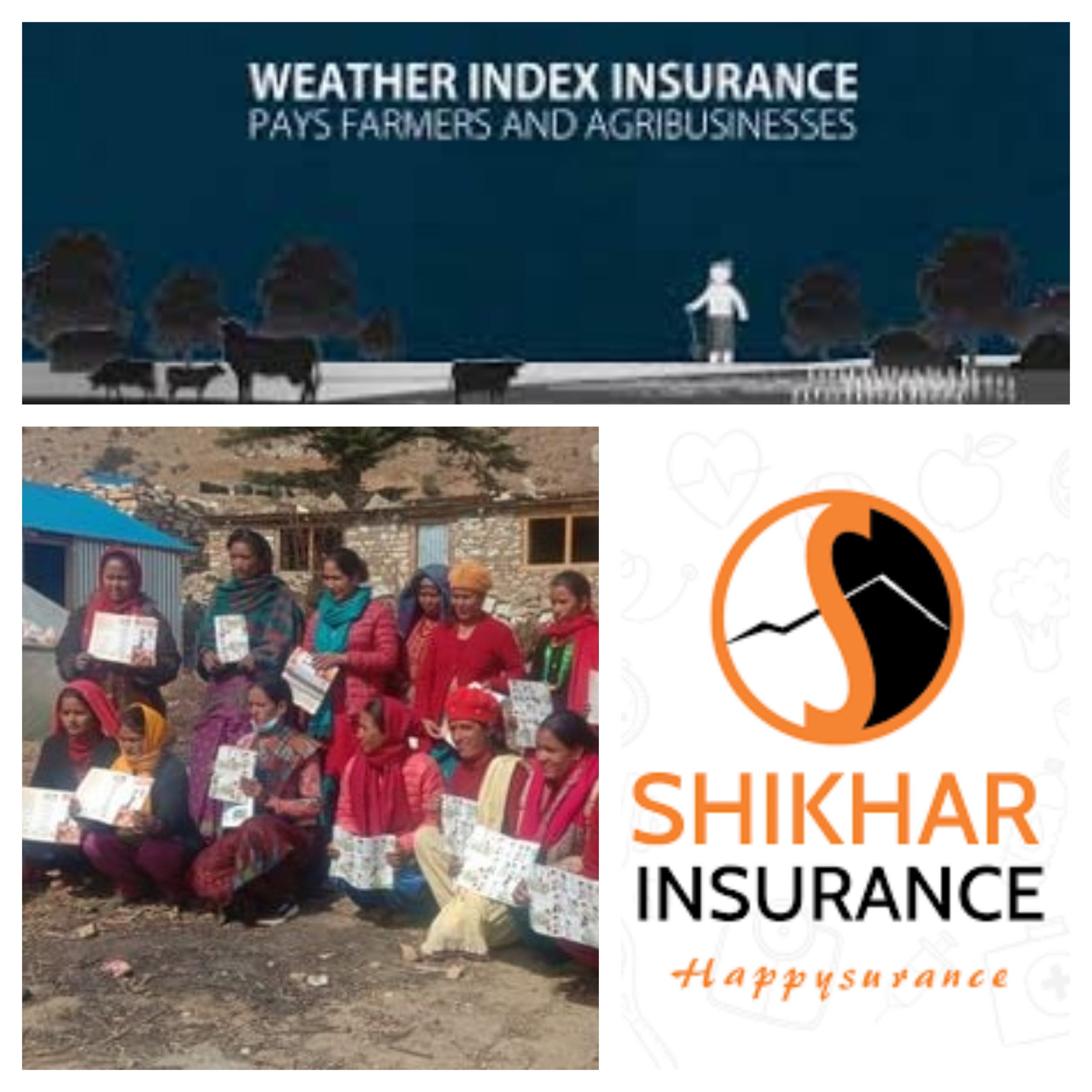 शिखर इन्स्योरेन्सको मौसम सूचकाङ्क बीमामा किसानको आकर्षण, खडेरी पर्ने वित्तीकै दाबी पाइने