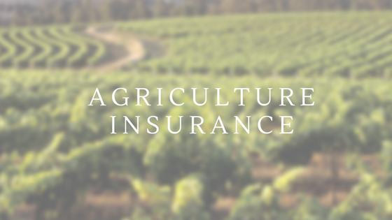 कृषि पशुपन्छी तथा जडिबुटी बीमा भनेको के हो ? किन आवश्यक छ ?