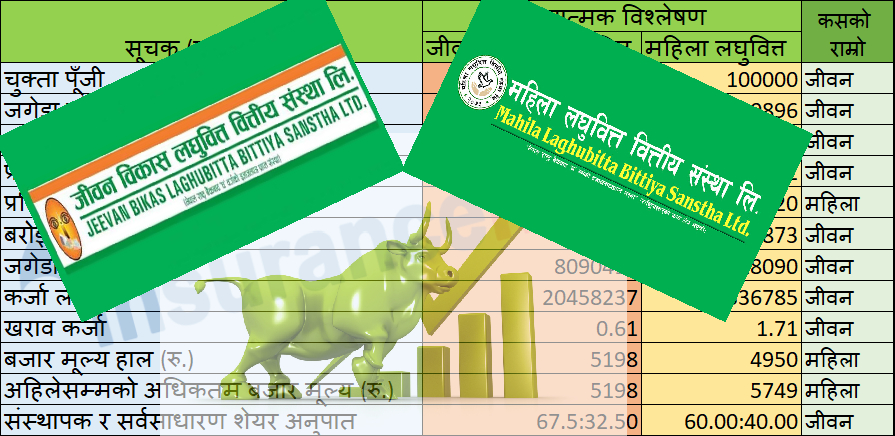 जीवन विकास र महिला लघुवित्तका शेयरधनीले कमाए आधा लाख, कति पुग्ला जीवन विकासको शेयर मूल्य ?