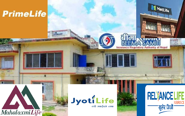 समितिले ५ जीवन बीमा कम्पनीको ‘एक्चुअरी भ्यालुएसन’ पास गर्यो, पोलिसी बोनसदर सँगै लाभांश घोषणा सुरु