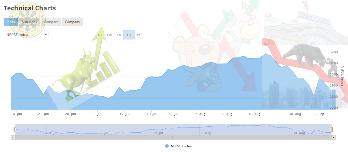 अस्थिर लगानीकर्ता तिव्र उतारचढाव, घट्दा लगानीकर्ता आत्तीने बढ्दा नियामक डराउने